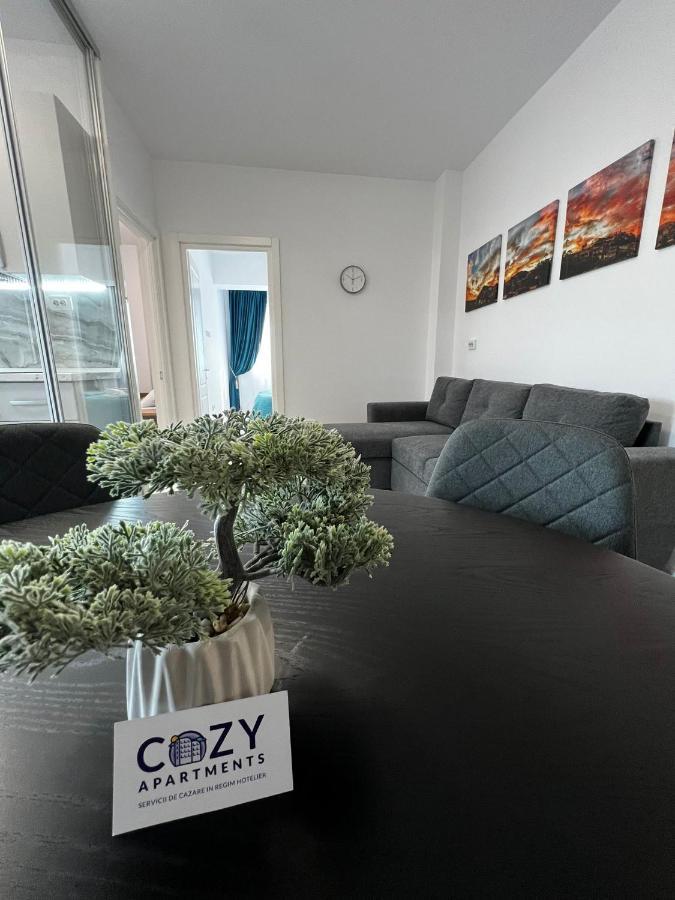 Cozy Apartments - City Center Iasi Exteriér fotografie