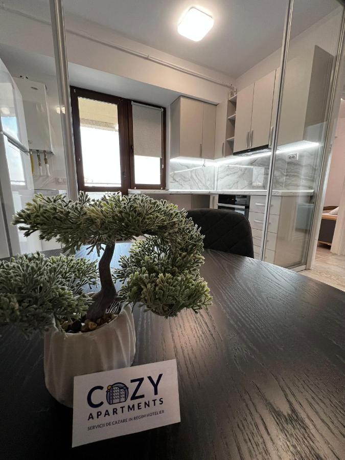 Cozy Apartments - City Center Iasi Exteriér fotografie