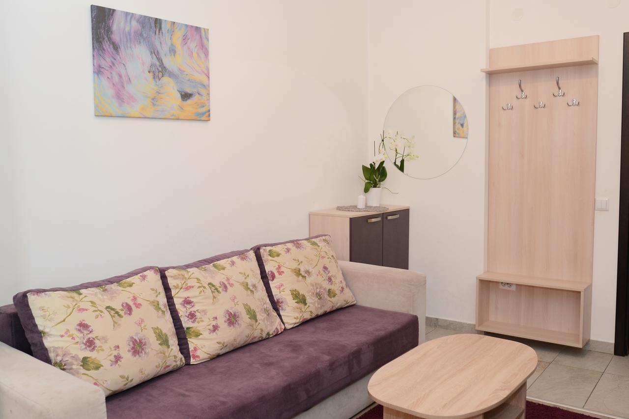 Cozy Apartments - City Center Iasi Exteriér fotografie